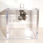 Meteorite And Display Cube 6 8 Gram Genuine Campo Del Cielo Meteorite With Coa