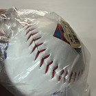 Vintage Walt Disney Company Collectible Ball - Signed By Mickey Donald Chip 