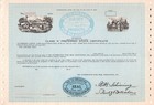 Vintage Original Stock bond Certificates - All Different - Lot Of 10