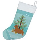 Norfolk Terrier Merry Christmas Stocking Bb2927cs