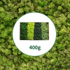 Preserved Moss 4 Color Reindeer Craft Moss  Total 14 Oz Each Color 3 5 Oz  Fa   