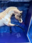 Breyerfest 2021 Glossy Rheverence Buckskin Pinto Ashquar Arabian Breyer Horse