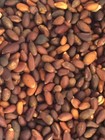 Liston s Nevada Soft Shell Pine Nuts - Premium Grade - Fresh - Raw - 2025 Season