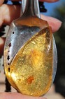 Amber With Insect Pendant   Set In A Vintage Sterling Silver-plated Jelly Spoon 