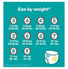 Pampers Baby-dry Pants Nappy Size 9 19kg  Disposable Pull-on Giant Extra 19 Pack
