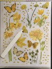 49 And Market Vintage Artistry Butter   Lilac Rub-on Transfers  6  6x8 Sheets 