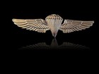 U s Military Navy   Marine Corps Gold Parachutist Paratrooper Jump Wings Pin