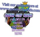 Wysiwyg - Holy Hammer Frag - Lps - Live Coral