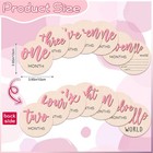 7pc Baby 3d Monthly Milestone Wooden Signs Girl 1-12 Months Pink Photo Prop