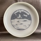 Vintage Frisbee Moonlighter Glow-in-the-dark 110g Flying Disc Wham-o 1980