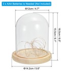 6 1 x4 7  Clear Cloche Glass Dome Glass Bell Jar Display Case With Led Light