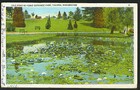 U k  1931 1d Postage Due Post Card  tacoma  Washington