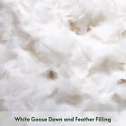 Pack Of 2 Down And Feather Throw Pillow Inserts 18 X 18 Soft Fluffy Square White