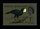  british Honduras  Scarce  color Omitted On Beak  1966 1c Sg 230a  mlh  Ca1940