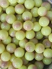 10 Marble King Burmese Glass Uv Reactive  9 16       Or- marbles  10 99 Lot A