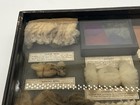Antique Shadow Box Diorama Sheep Drawer Product Samples Philadelphia Museum