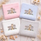 Personalised Safari Baby Blanket     Soft Embroidered Newborn Gift 75cm X 100cm