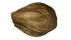 120g Dried Large Indian Catappa Almond Leaves For Betta Fish  Shrimps  Reptiles
