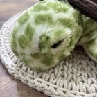 Aurora Sea Turtle Plush 12    Stuffed Animal Green Brown Destination Nation