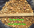 Aquarium Pebbles   All Natural No Chemicals Stones Gravel Substrate Fish Bulk  