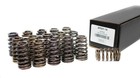 Btr 2009  5 7l Hemi  625  Beehive Drop-in Valve Spring Kit Sp021-16 Brian Tooley