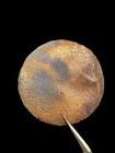 Dug Revolutionary War Era Button Virginia Colonial Relic Shank Intact Antique