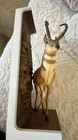 Vintage 1970   s Olympia Beer Wildlife Series Bar Sign Antelope 16 X 9   