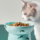 Petkit Ceramic Cat Kitten Bowls Elevated Pet Food Water Bowl Porcelain Dish