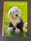 One  1  Random Design occasion Greeting Card Without Envelope