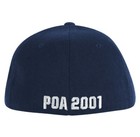 Vintage 2001 Pledge Of Allegiance Tour Hat New Old Stock -super Rare - Slipknot 