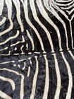 Antique Authentic Zebra Skin Rug