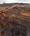 High End Colombian Xlarge Exotic Tricolor Dark Brindle Natural Cowhide Rug Cl-17