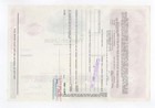 The Western Union Telegraph Company Stock Certificate
