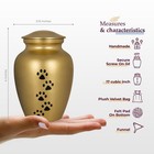 Trupoint Memorials Small Pet Urn For Dogs And Cats Ashes  Paws Print Gold Cremat