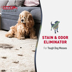 Nature   s Miracle Advanced Stain And Odor Eliminator Dog Spray  Fresh Scent  Seve