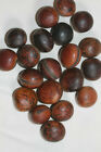 Natural Sea Beans For Beach Decor Crafts  Ss-19