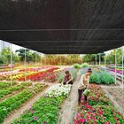 Malla Sombra 90  Para Jard  n  12x20 Ft  Con Ojales 