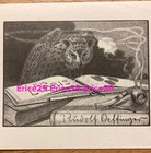 Wise Owl Knowledge W  Space For Name Ex Libris Book Plate By Rudolf Oeffinger