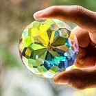 75mm Bauhinia Prisms Suncatcher Glass Rainbow Window Hanging Decoration