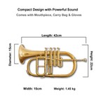 Queenbrass   Brass  4 Valve Flugel Horn  free Hard Case mouthpiece-
