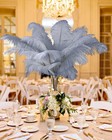 Natural Gray Large Ostrich Feathers 10 Pcs 28 Inch Crafts Centerpiece