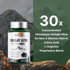 Flynew Shilajit Ultra Optimal Potency  Shilajit Extract With L-arginine 2 Pack
