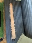 Sawfish Bill  rostrum  Very Vintage 100  Years Old - Extremely Rare This Size