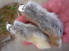 Lucky Rabbits Foot Rabbit s Feet Qty 1  Genuine Rabbit s Foot Natural Key Chains