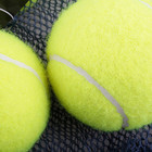 Athletic Works Pressureless Professional Tennis Balls  18 Balls  Free Shipping