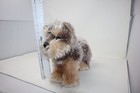 Douglas Cuddle Yettie The Yorkie  1897 Plush Stuffed Animal
