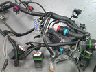 Good Used Oem Mercruiser 6 2l V8 Engine Harness Assembly  Part   8m0114818
