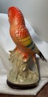 Vtg  Japan Parakeet Figurine Bird Tropical Flowers  10  Orange Yellow Blue Green