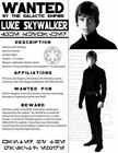 1980 Star Wars Lot Of 2 Luke Skywalker Wanted Poster Prop Replicas Mark Hamill