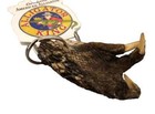 Gator Foot Keychain Alligator Paw Souvenir Taxidermy Reptile Claw Key Chain Ring